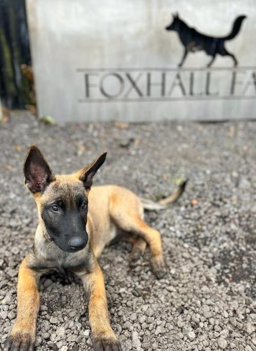 Foxhall Farm Thirsk Zewnętrze zdjęcie