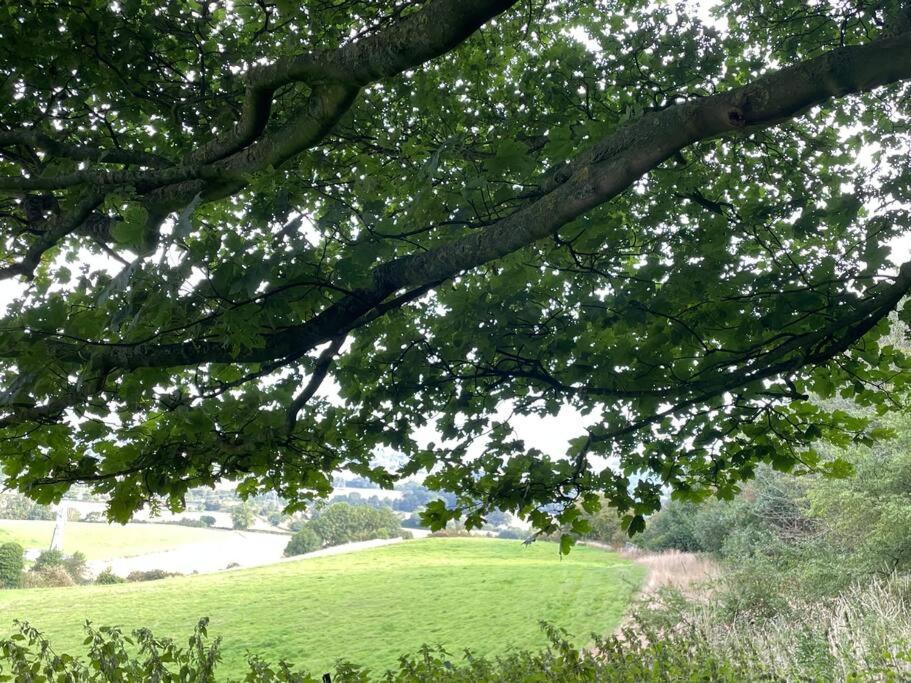 Foxhall Farm Thirsk Zewnętrze zdjęcie