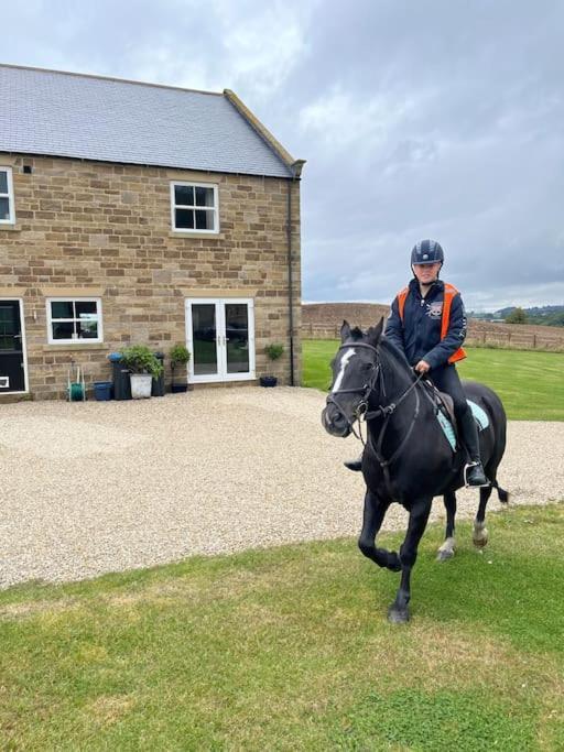 Foxhall Farm Thirsk Zewnętrze zdjęcie