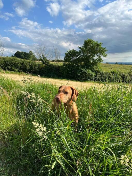 Foxhall Farm Thirsk Zewnętrze zdjęcie